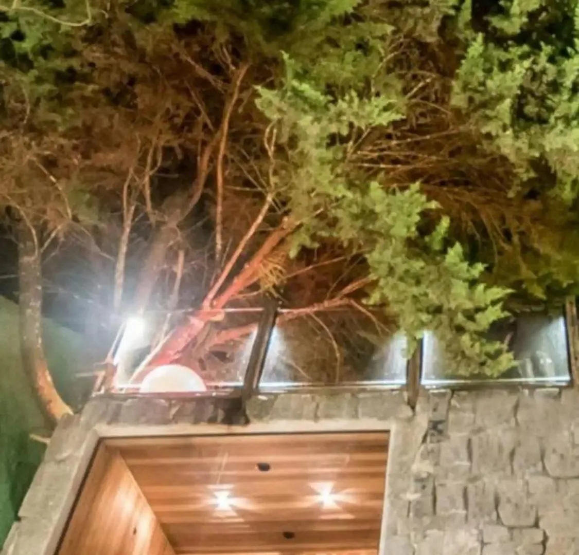 Chalet Com Jacuzzi Sauna Lareira E Telao Cinema Campos do Jordao